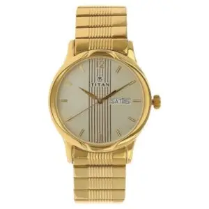 Titan Analog with Day and Date Champagne Dial Metal Strap watch for Men (NS-1580YM05)