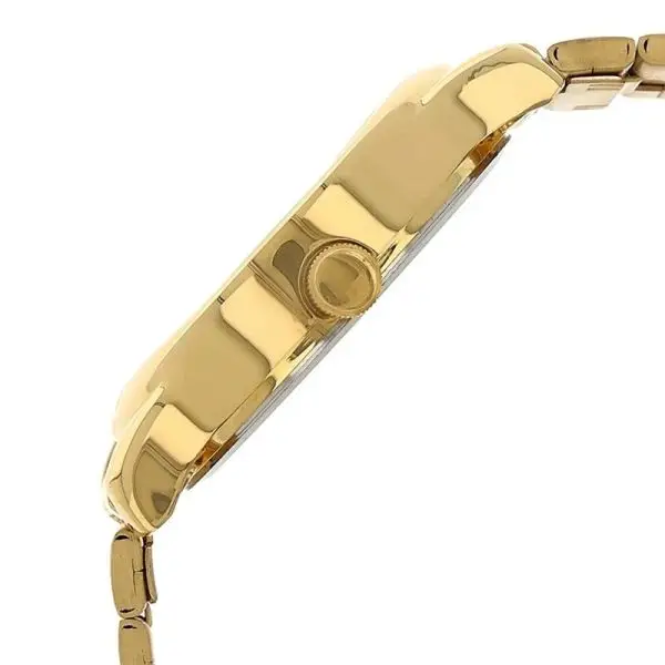 Titan Analog with Day and Date Champagne Dial Metal Strap watch for Men (NS-1580YM05) - Image 3